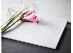 Blume auf weiße Fliesen