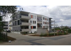 Häuser auf der Heinrich-Greif-Straße, Dresden