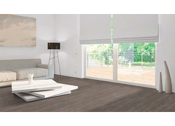 Starclic Stone 4.2, Wohnzimmer