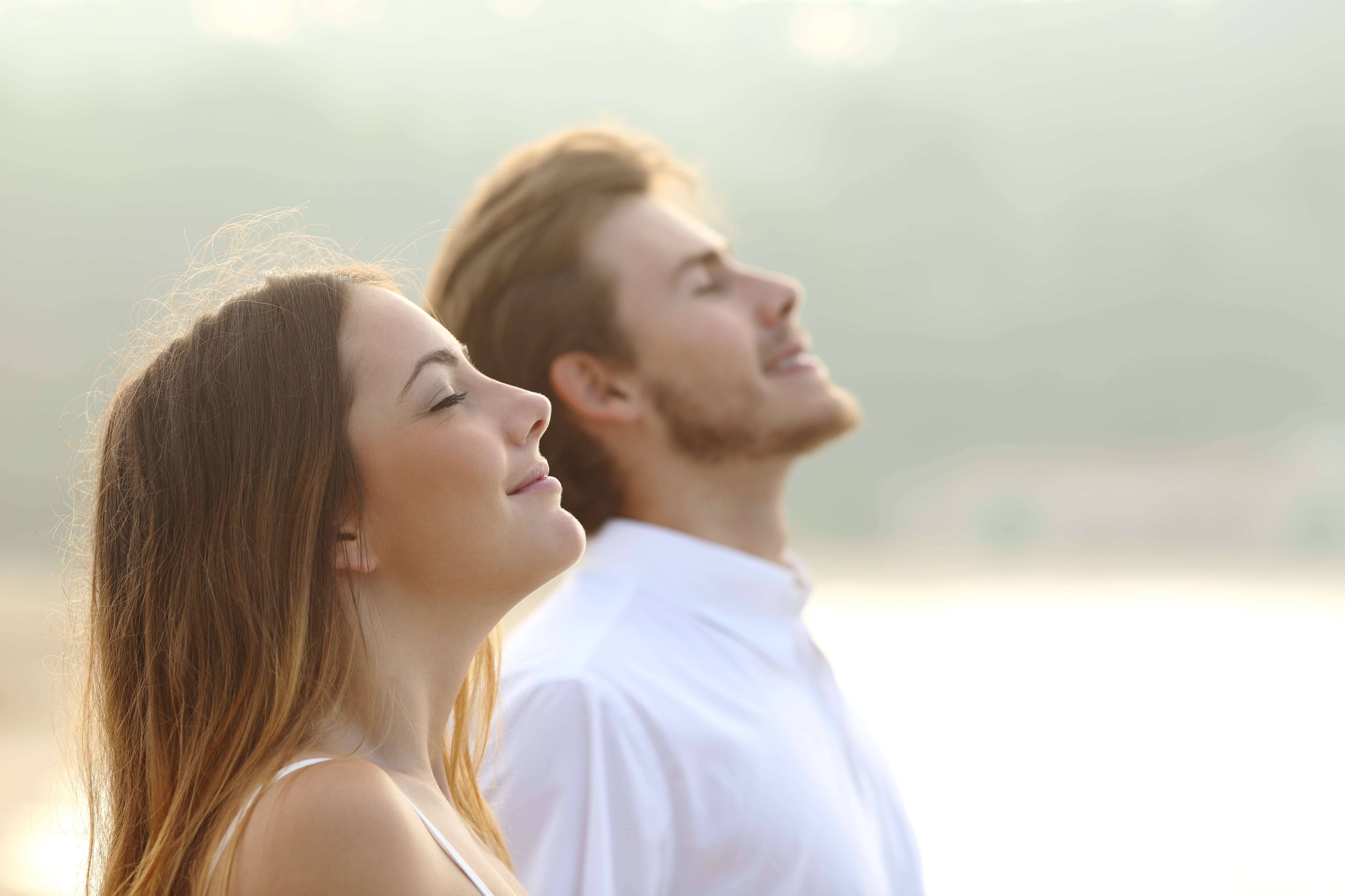 Quelle: Shutterstock Quelle: Shutterstock