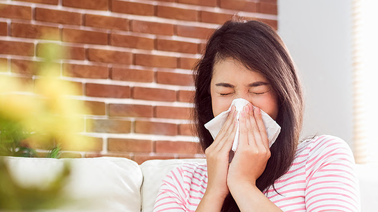 Frau mit Allergie Frau mit Allergie